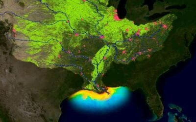 2019 Gulf Dead Zone smaller than forecasted – why?