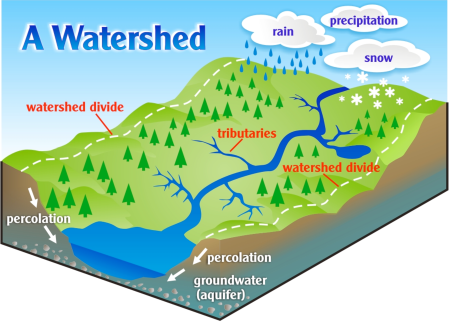 watershed graphic