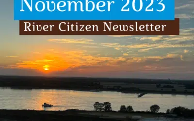 November RC Newsletter